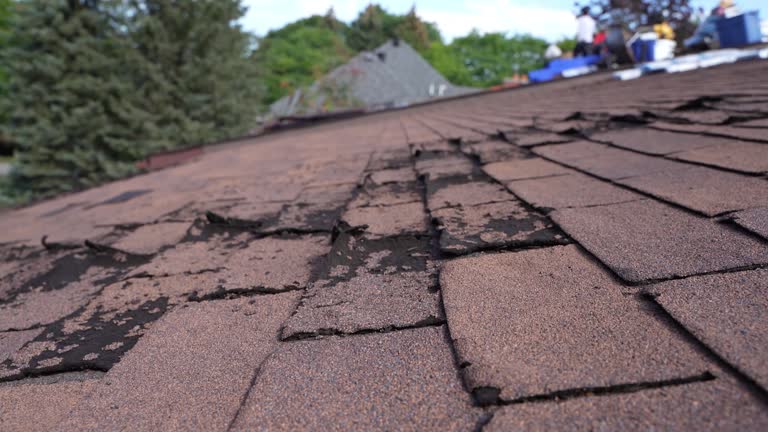 Best Gutter Installation and Repair  in Henderson, GA