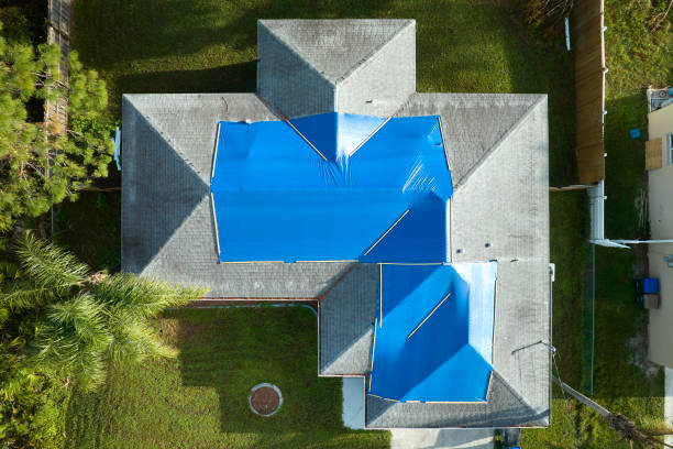 Best Roof Ventilation Installation  in Henderson, GA