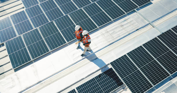 Best Roof Maintenance and Cleaning  in Henderson, GA